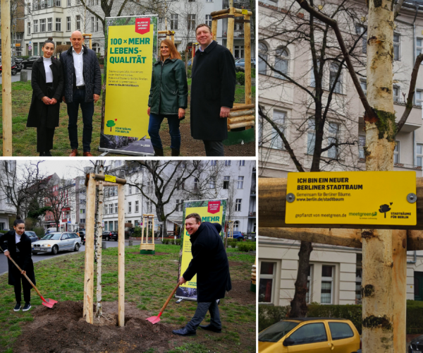 stadtbaumkampagne_2019 stadtbaumkampagne_2019